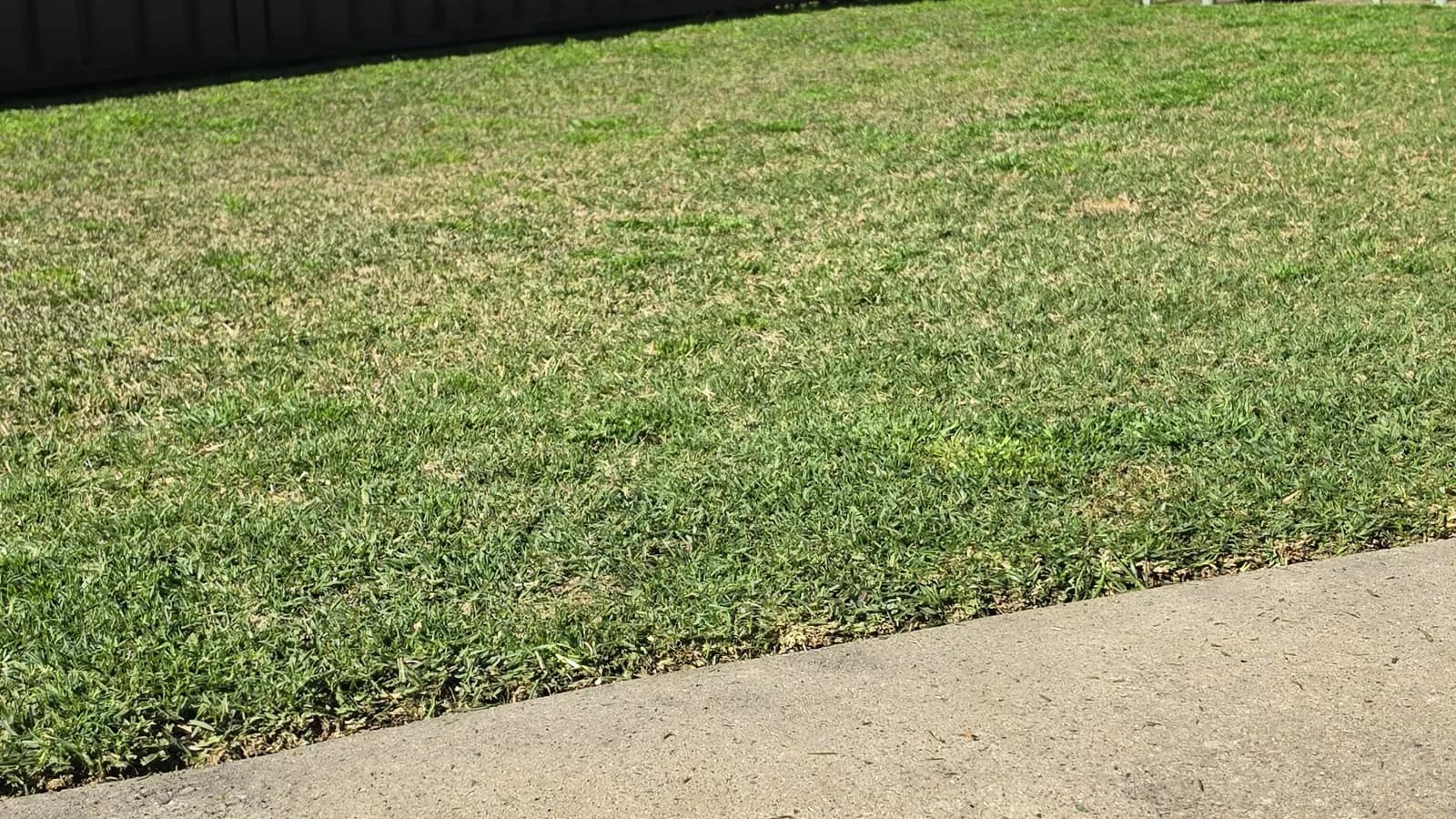 A freshly mowed back lawn with a dark timber fence