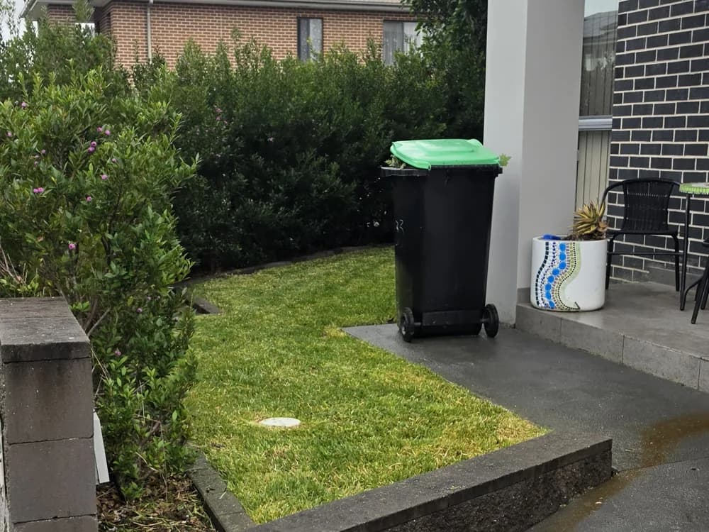 The same side lawn freshly mown and tidy
