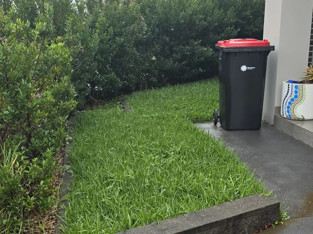 A long, unkempt side lawn before mowing