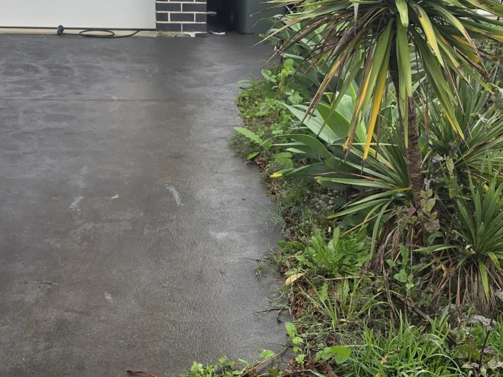 A weedy, overgrown driveway edge before tidying