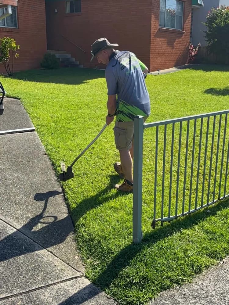 Wayne edging a lawn along a fence with a whipper-snipper