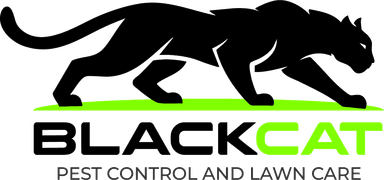 Black Cat Pest Control